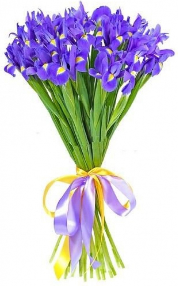 Букет из синих ирисов Букет «Облако»